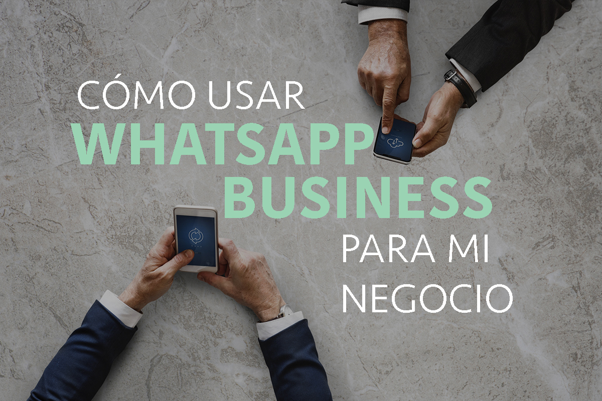 How to use Whatsapp business for my business
